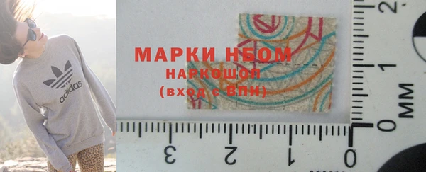 молекула духа Бородино