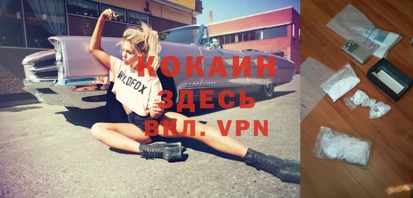 молекула духа Бородино