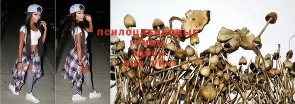 молекула духа Бородино