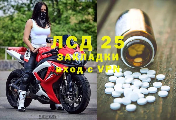 молекула духа Бородино
