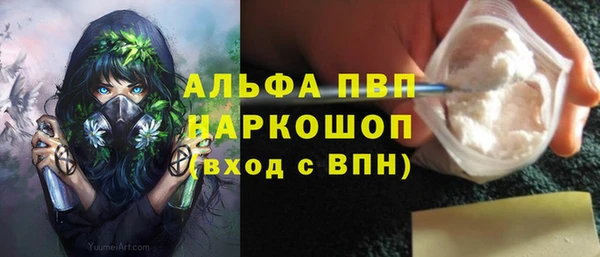 молекула духа Бородино